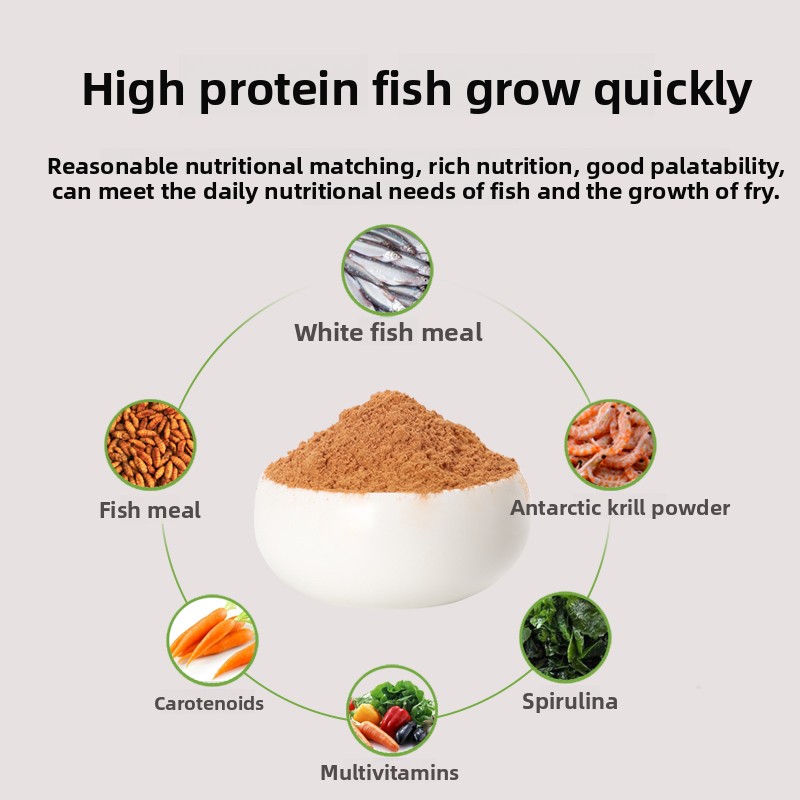 PENISON Polvere Alimentare per - Baby Food High In Protein recensione e prezzo