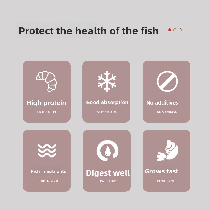 PENISON Polvere Alimentare per - Baby Food High In Protein recensione e prezzo