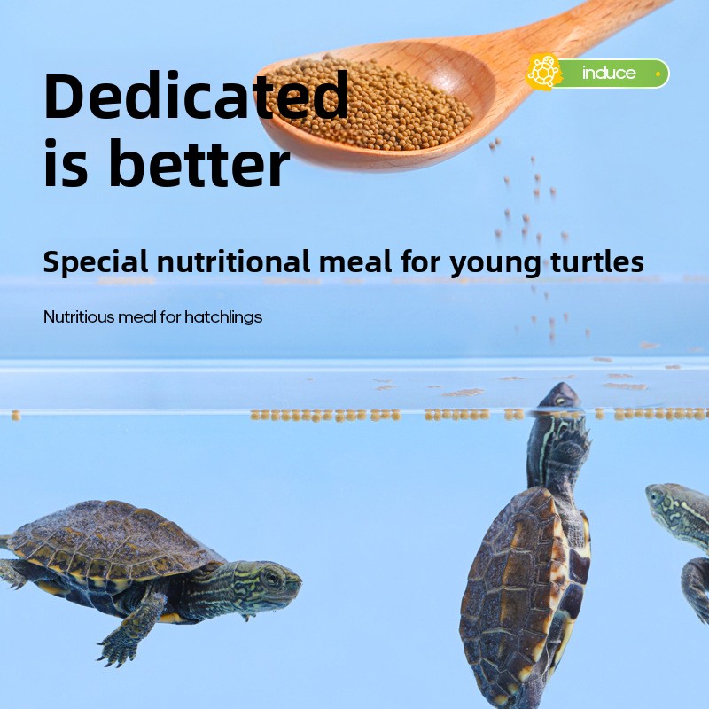 Fulepets Alimenti per tartarug - Baby Food High In Protein recensione e prezzo