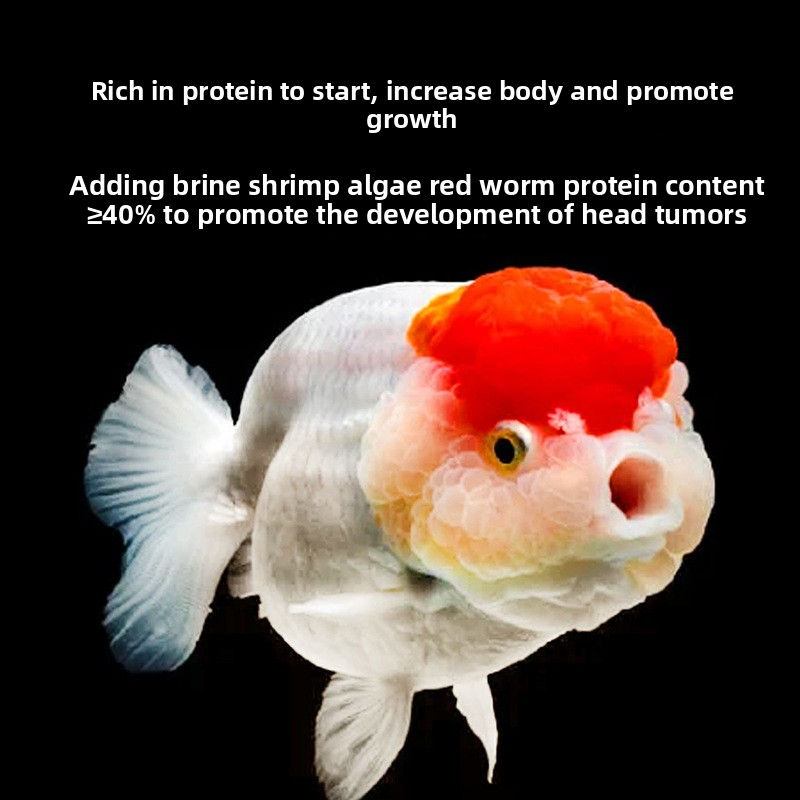 Fish Baby Affondamento Cibo pe - Baby Food High In Protein recensione e prezzo