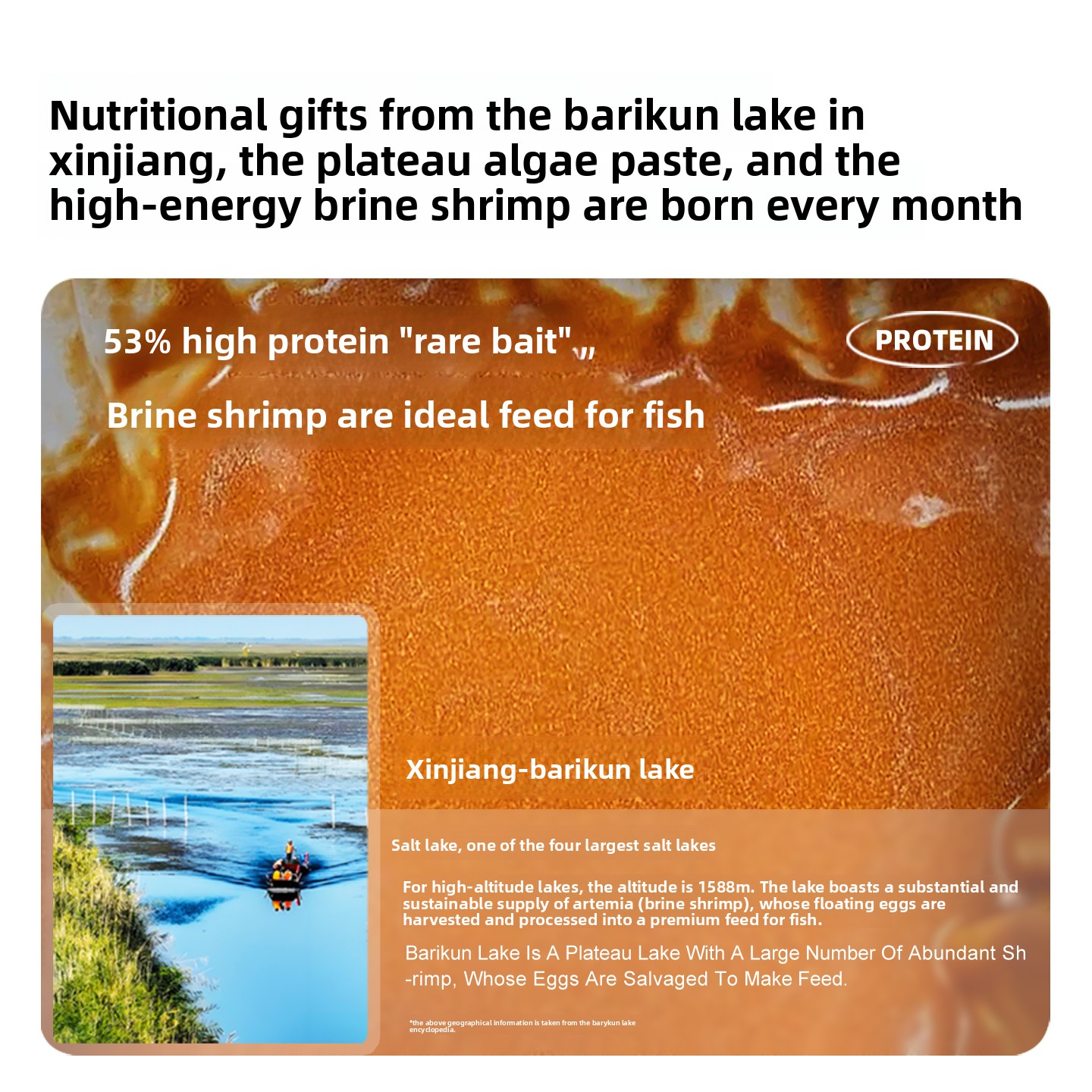 SANKii Artisemia di gamberetti - Baby Food High In Protein recensione e prezzo