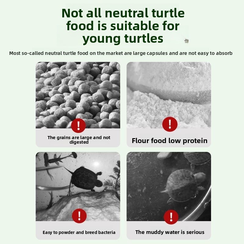Nai chong Hatchling Turtle Foo - Baby Food High In Protein recensione e prezzo