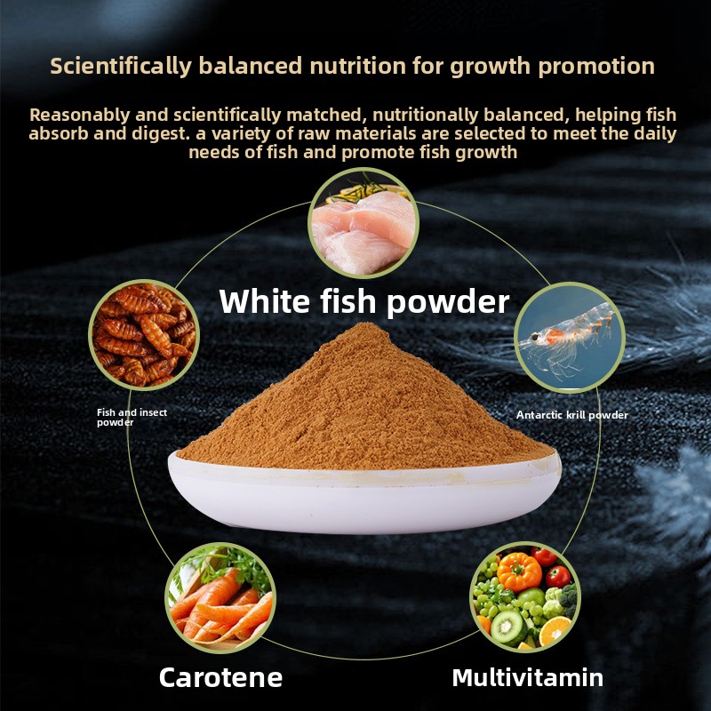 Zhipin Baby Fish Fry Food, pol - Baby Food High In Protein recensione e prezzo