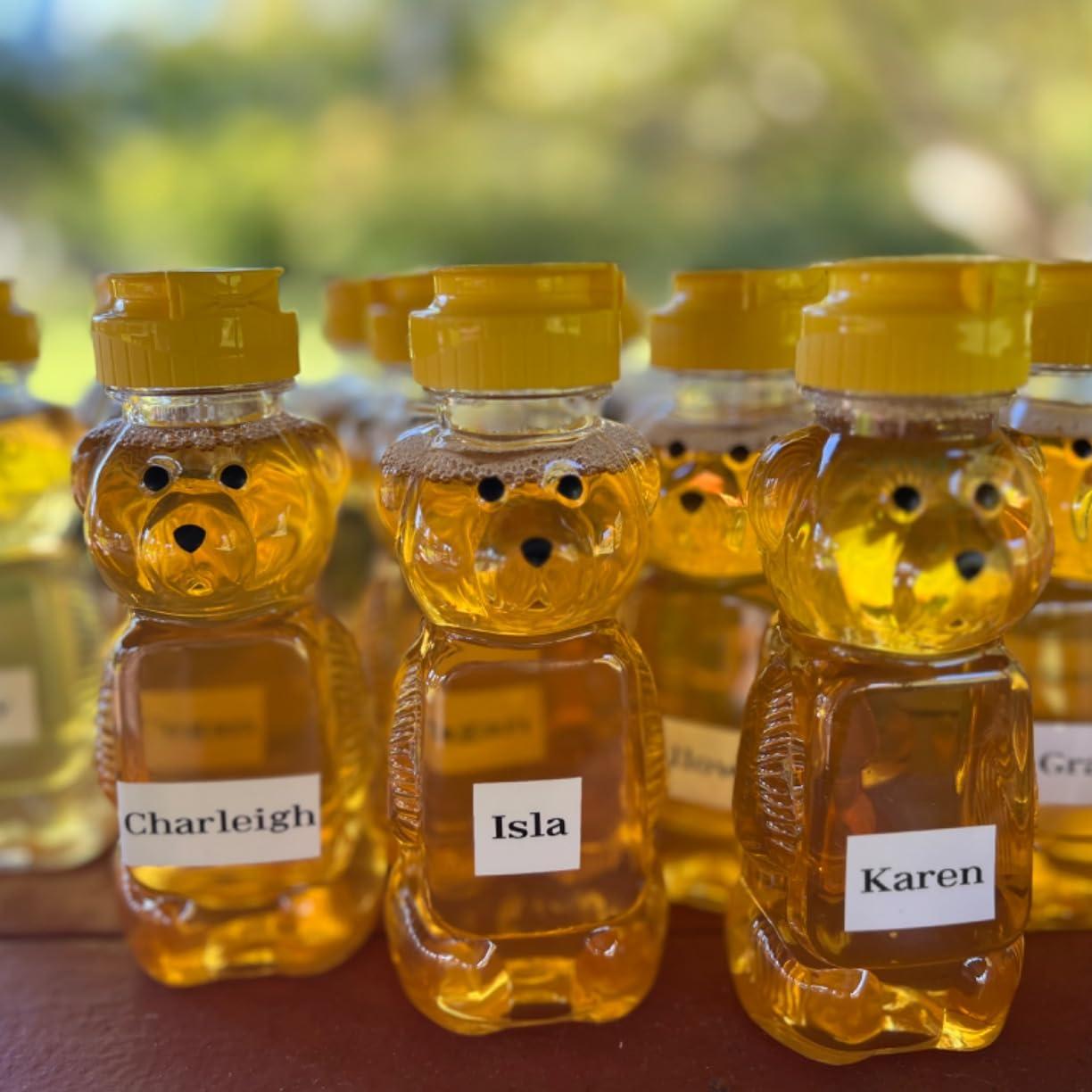 Barattoli di miele per orsi in - Baby Food Jars With Lids recensione e prezzo