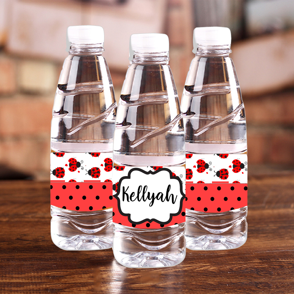 Coccinella personalizzata Bott - Baby Food Bottle recensione e prezzo