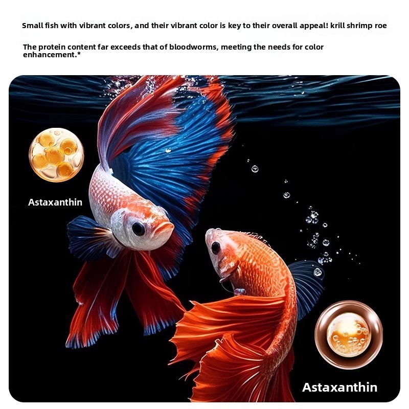 Yee Krill & Baby Shrimp Cibo s - Baby Food High In Protein recensione e prezzo